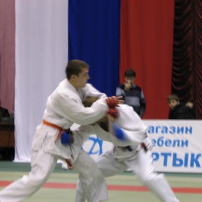 Открытый Чемпионат Сибирского федерального округа по джиу-джитсу (раздел ne-waza)